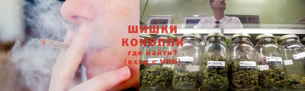 спиды Богородицк